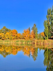 Beautiful autumn day with a visible moon during the day.