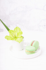 Green mint macarons and green gladiolus flower on white marble background, copy space