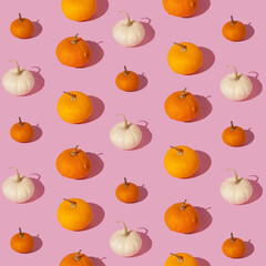 Romantic halloween autumn pumpkin pattern. Colorful Pumpkins on pink background - fall minimal pattern