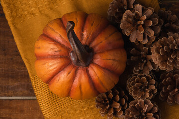 Pumpkin and Pine Cone Still Life Background