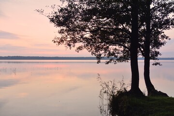 Forest lake at sunset. Mighty trees. Soft sunlight, glowing clouds, symmetry reflections in a...