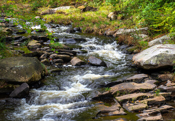 willard brook flowing through thewilderness  of willard brook state forest
