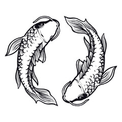 Fototapeta premium Yin Yang Koi Fish Japanese vector illustration premium tshirt design