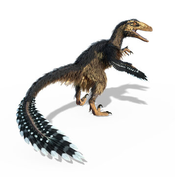 Deinonychus - Feathered Dinosaur