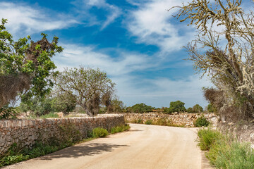 Rural Majorca in the south of the island-8727
