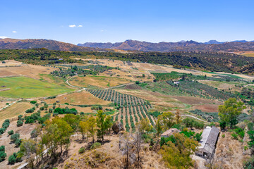 Paisaje del valle de Ronda con árboles, tierras de cultivo, y las montañas al fondo un día soleado con cielo azul. Desde Málaga, Andalucía, España.