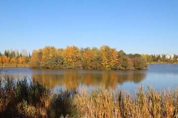 Fototapeta na wymiar Island Of Autumn, Jackie Parker Park, Edmonton, Alberta