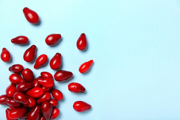 Red fresh dogwood berries on color background