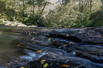 Autumn Water