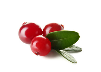 Ripe juicy cranberries on white background