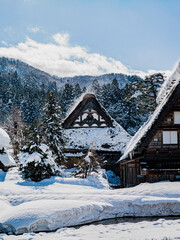 日本の美
冬の白川郷