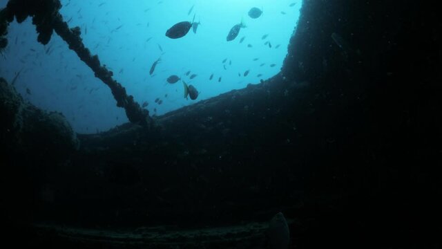 Unique scuba divers view inside a underwater shipwreck with sunlight penetrating through.