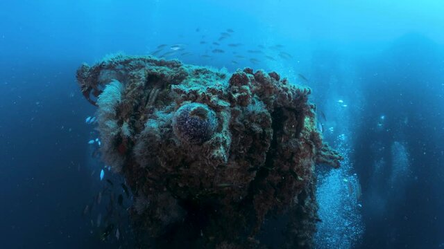 Underwater footage of a colourful sunken shipwreck with schools of fish swimming above the rusted metal of the artificial reef for scuba divers