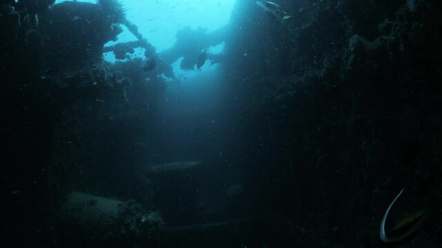 Unique scuba divers view swimming inside a underwater shipwreck with sunlight penetrating through.