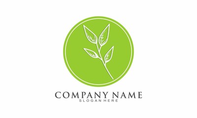Aesthetic green leaf simple logo