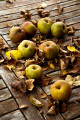 Organic garden apples on a wooden table with autumn leaves