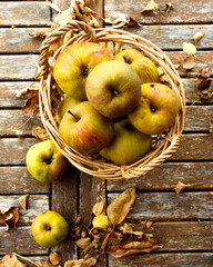 Organic garden apples on a wooden table with autumn leaves