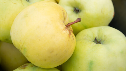yellow apples, close-up