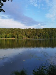 Fototapeta premium lake in the forest