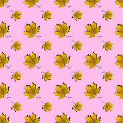 flat seamless pattern of maple leaves on a pink background