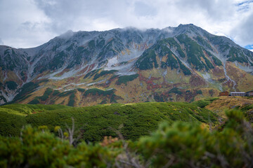 Fototapeta premium 富山県立山町の立山の秋の紅葉の季節に登山している風景 Scenery of climbing Tateyama Mountain in Tateyama Town, Toyama Prefecture, Japan during the season of autumn leaves. 