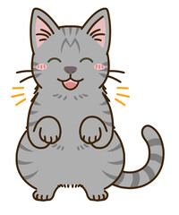 喜ぶ猫（サバトラ）