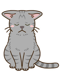落ち込む猫（サバトラ）