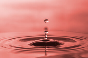 Water droplet splash and make perfect ripples on water surface background.