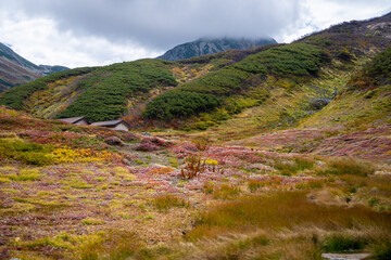 富山県立山町の立山の秋の紅葉の季節に登山している風景 Scenery of climbing Tateyama Mountain in Tateyama Town, Toyama Prefecture, Japan during the season of autumn leaves. 