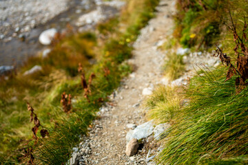 富山県立山町の立山の秋の紅葉の季節に登山している風景 Scenery of climbing Tateyama Mountain in Tateyama Town, Toyama Prefecture, Japan during the season of autumn leaves. 