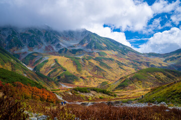 Obraz premium 富山県立山町の立山の秋の紅葉の季節に登山している風景 Scenery of climbing Tateyama Mountain in Tateyama Town, Toyama Prefecture, Japan during the season of autumn leaves. 