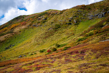 富山県立山町の立山の秋の紅葉の季節に登山している風景 Scenery of climbing Tateyama Mountain in Tateyama Town, Toyama Prefecture, Japan during the season of autumn leaves. 