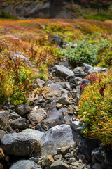富山県立山町の立山の秋の紅葉の季節に登山している風景 Scenery of climbing Tateyama Mountain in Tateyama Town, Toyama Prefecture, Japan during the season of autumn leaves. 
