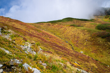 富山県立山町の立山の秋の紅葉の季節に登山している風景 Scenery of climbing Tateyama Mountain in Tateyama Town, Toyama Prefecture, Japan during the season of autumn leaves. 