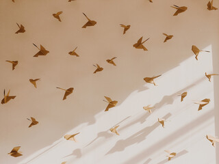 Bird origami in white Wall background