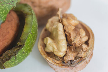  half a walnut on a gray-white background close-up