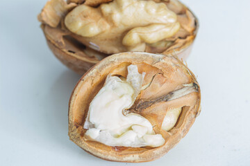 two halves of a ripe walnut on a gray-white background close-up