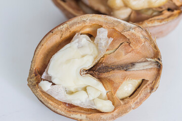  two halves of a ripe walnut on a gray-white background macro