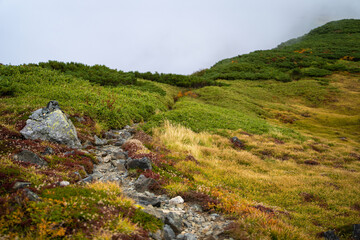 富山県立山町の立山の秋の紅葉の季節に登山している風景 Scenery of climbing Tateyama Mountain in Tateyama Town, Toyama Prefecture, Japan during the season of autumn leaves. 