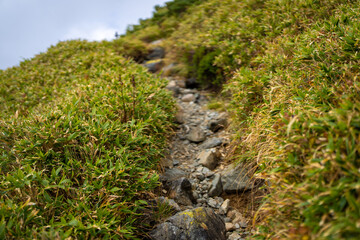 富山県立山町の立山の秋の紅葉の季節に登山している風景 Scenery of climbing Tateyama Mountain in Tateyama Town, Toyama Prefecture, Japan during the season of autumn leaves. 