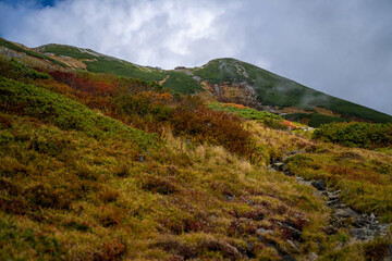 富山県立山町の立山の秋の紅葉の季節に登山している風景 Scenery of climbing Tateyama Mountain in Tateyama Town, Toyama Prefecture, Japan during the season of autumn leaves. 