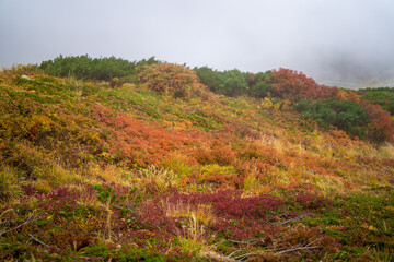 富山県立山町の立山の秋の紅葉の季節に登山している風景 Scenery of climbing Tateyama Mountain in Tateyama Town, Toyama Prefecture, Japan during the season of autumn leaves. 