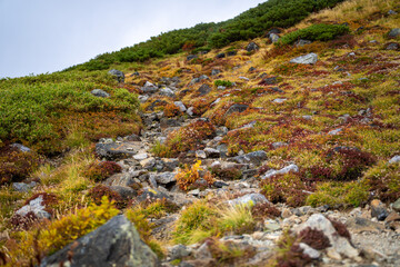 富山県立山町の立山の秋の紅葉の季節に登山している風景 Scenery of climbing Tateyama Mountain in Tateyama Town, Toyama Prefecture, Japan during the season of autumn leaves. 