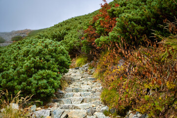 富山県立山町の立山の秋の紅葉の季節に登山している風景 Scenery of climbing Tateyama Mountain in Tateyama Town, Toyama Prefecture, Japan during the season of autumn leaves. 