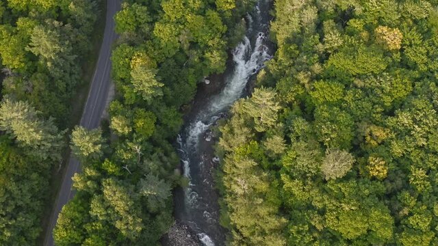 Canadian river with whitewater rapids running through forest beside roadway in rural Ontario