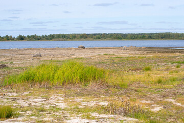 Drying bottom of the river against the background of a natural landscape - shore, trees, sky. Low water level in the reservoir.