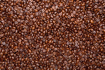 Roasted Coffee Beans