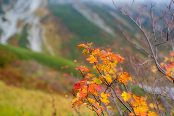 富山県立山町の立山の秋の紅葉の季節に登山している風景 Scenery of climbing Tateyama Mountain in Tateyama Town, Toyama Prefecture, Japan during the season of autumn leaves. 