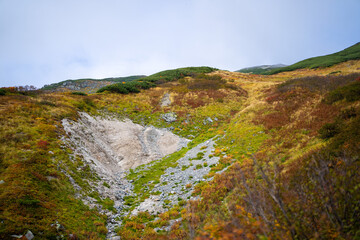 富山県立山町の立山の秋の紅葉の季節に登山している風景 Scenery of climbing Tateyama Mountain in Tateyama Town, Toyama Prefecture, Japan during the season of autumn leaves. 