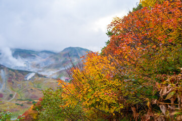 富山県立山町の立山の秋の紅葉の季節に登山している風景 Scenery of climbing Tateyama Mountain in Tateyama Town, Toyama Prefecture, Japan during the season of autumn leaves. 